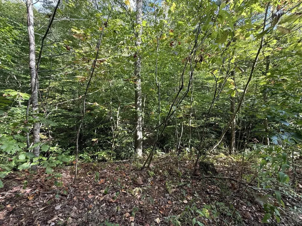1435 Nada Tunnel Road Stanton KY 40380