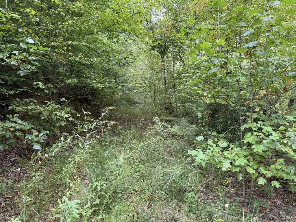 1435 Nada Tunnel Road Stanton KY 40380