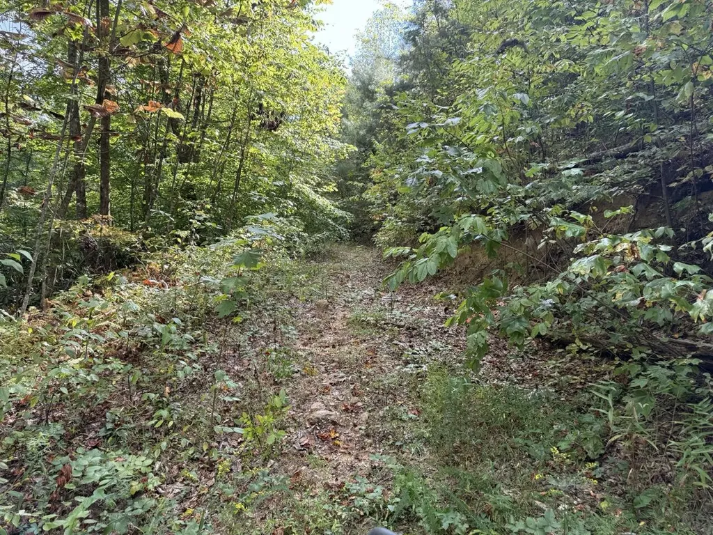 1435 Nada Tunnel Road Stanton KY 40380