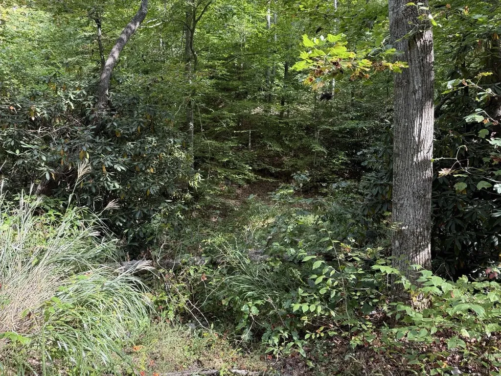 1435 Nada Tunnel Road Stanton KY 40380