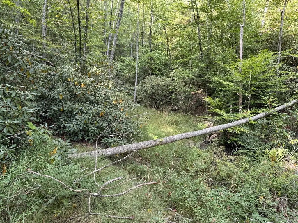 1435 Nada Tunnel Road Stanton KY 40380
