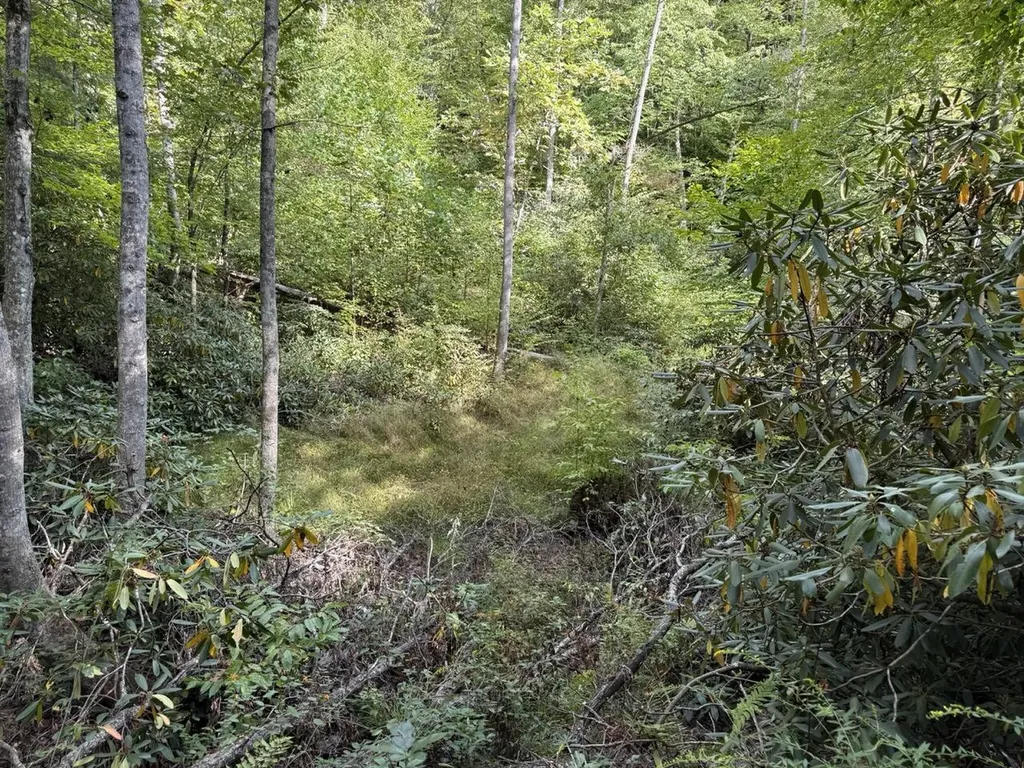 1435 Nada Tunnel Road Stanton KY 40380