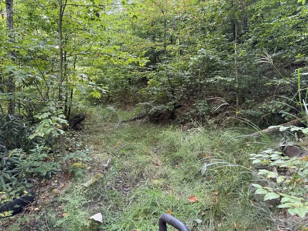 1435 Nada Tunnel Road Stanton KY 40380
