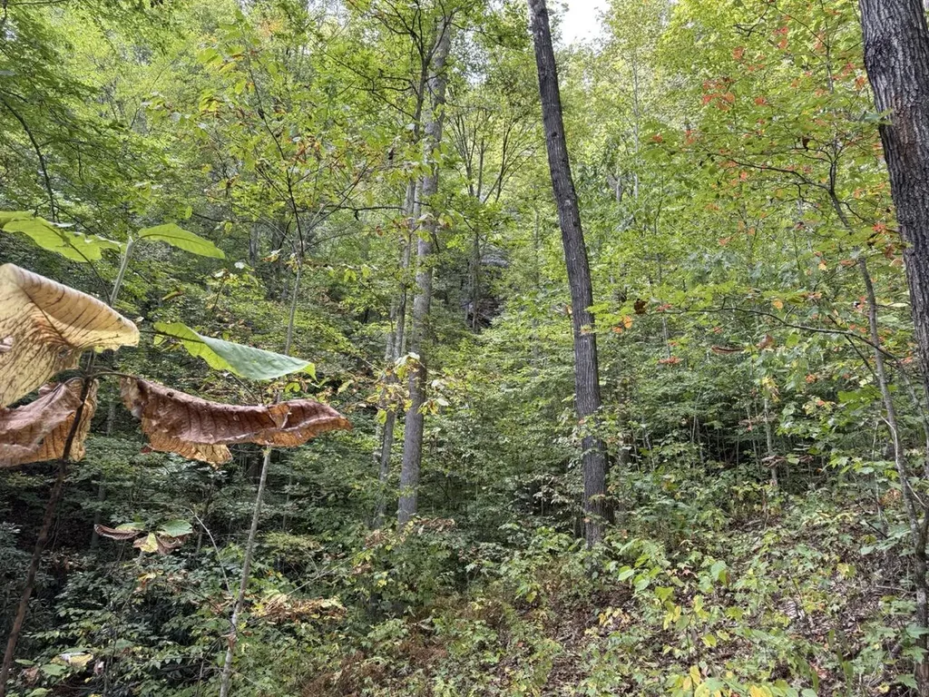 1435 Nada Tunnel Road Stanton KY 40380
