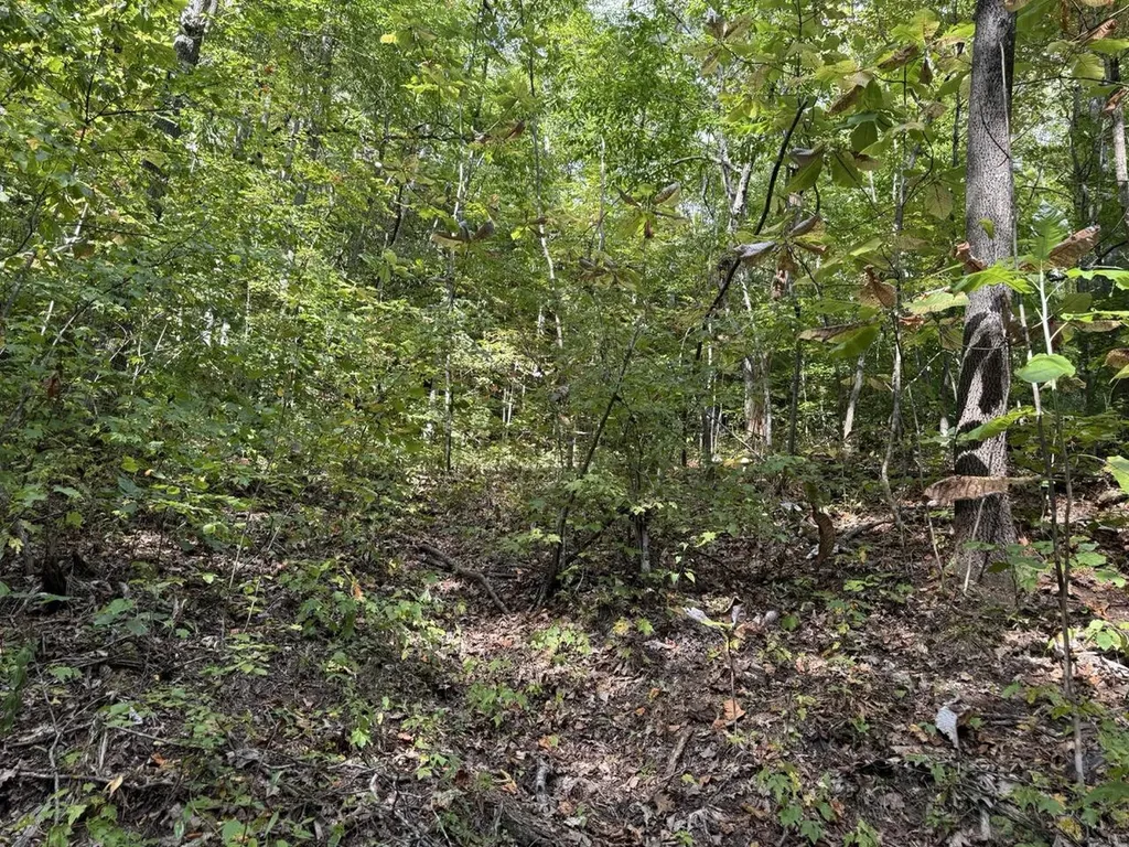 1435 Nada Tunnel Road Stanton KY 40380