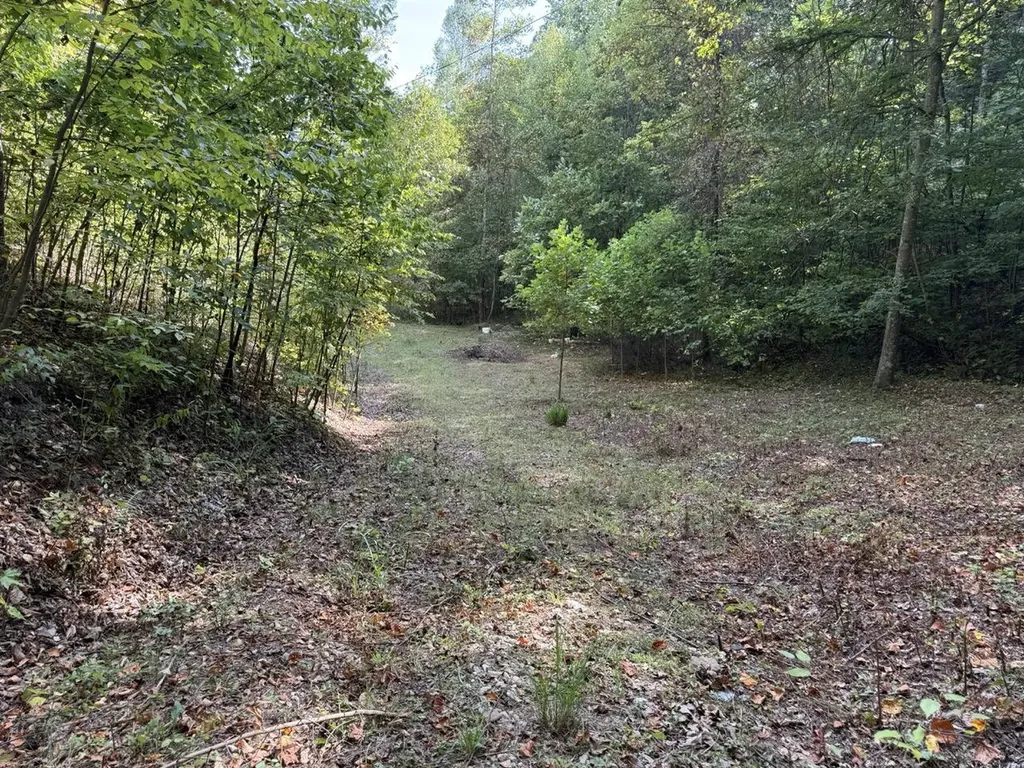 1435 Nada Tunnel Road Stanton KY 40380
