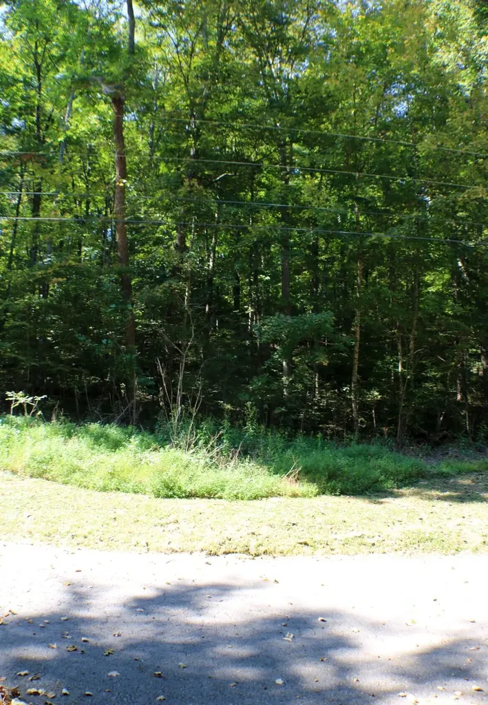 406 Harmony Lane Burnside KY 42519