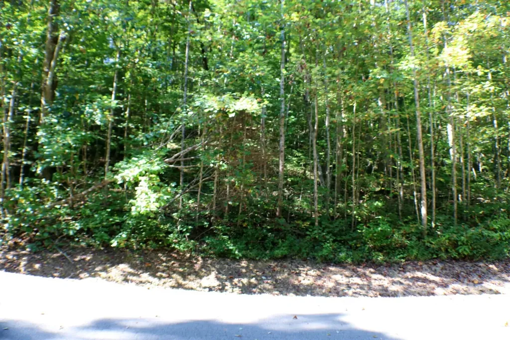 406 Harmony Lane Burnside KY 42519