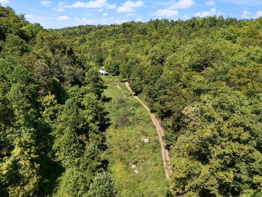 270 Left Fork Holly Road Sextons Creek KY 40983