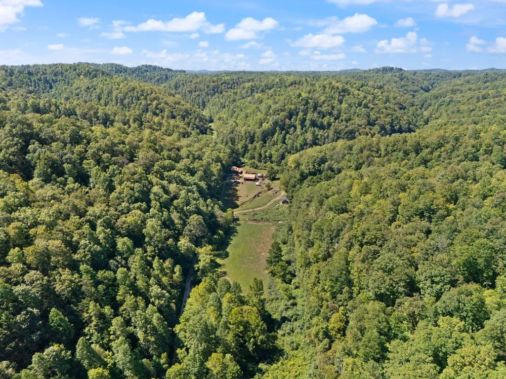 270 Left Fork Holly Road Sextons Creek KY 40983