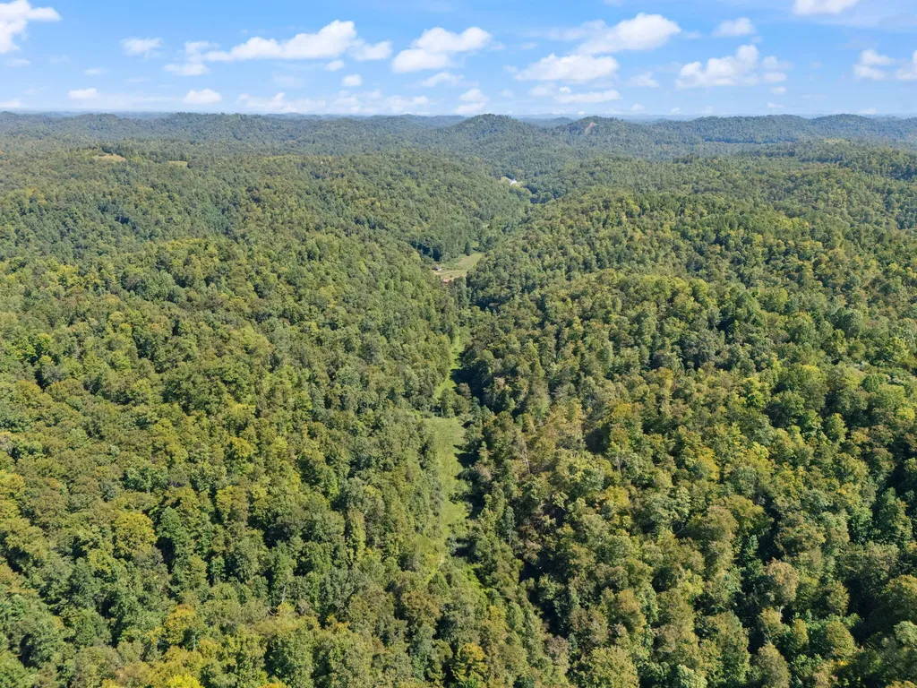 270 Left Fork Holly Road Sextons Creek KY 40983