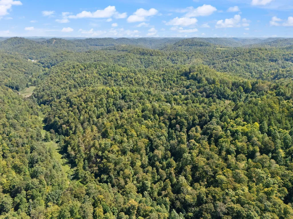 270 Left Fork Holly Road Sextons Creek KY 40983