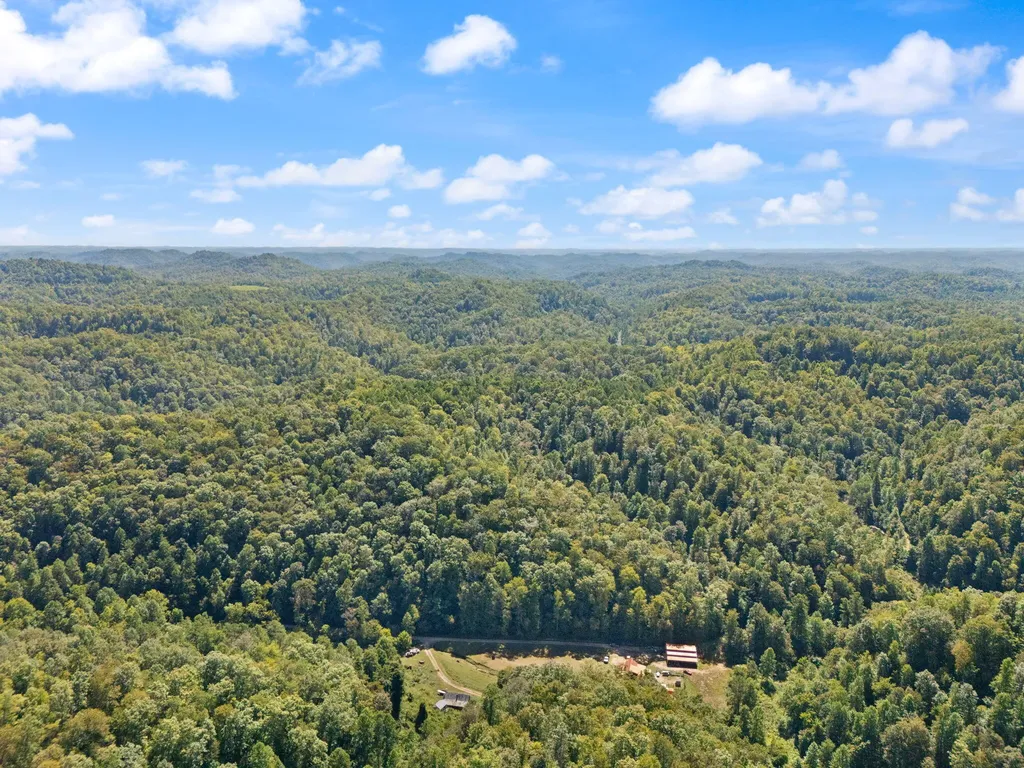 270 Left Fork Holly Road Sextons Creek KY 40983