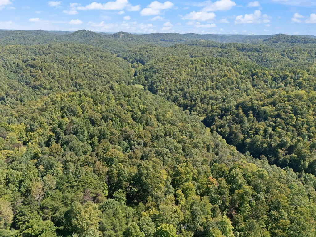 270 Left Fork Holly Road Sextons Creek KY 40983