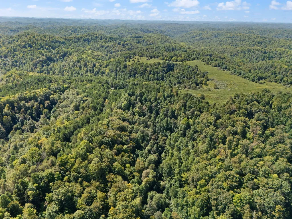 270 Left Fork Holly Road Sextons Creek KY 40983