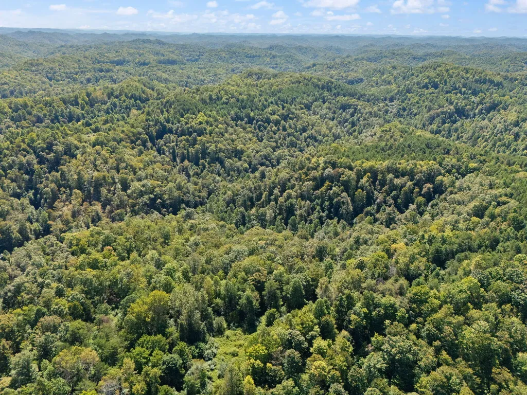 270 Left Fork Holly Road Sextons Creek KY 40983
