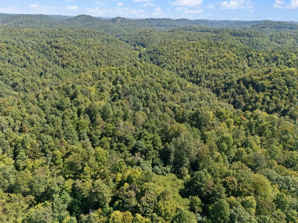 270 Left Fork Holly Road Sextons Creek KY 40983