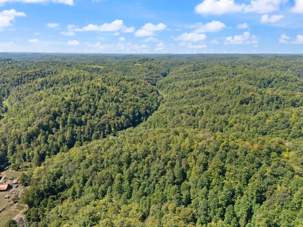 270 Left Fork Holly Road Sextons Creek KY 40983