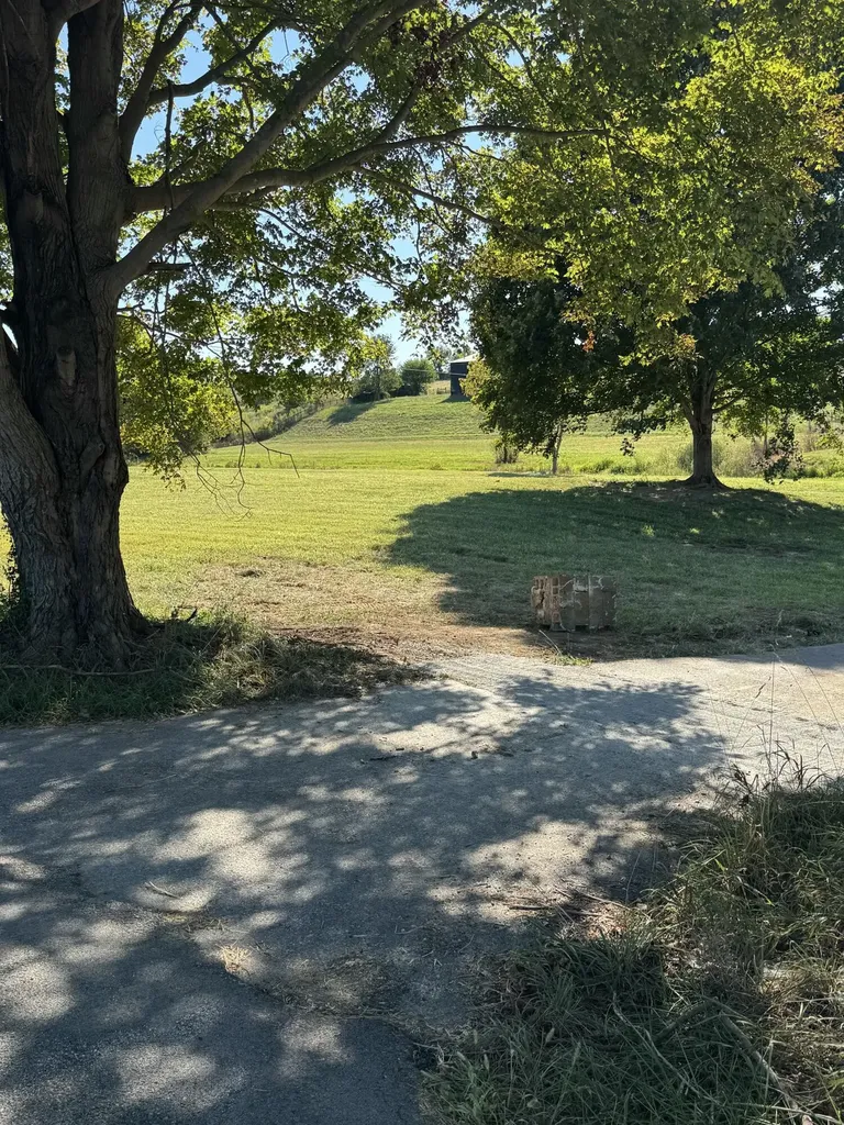 322 Locust Fork Road Stamping Ground KY 40379