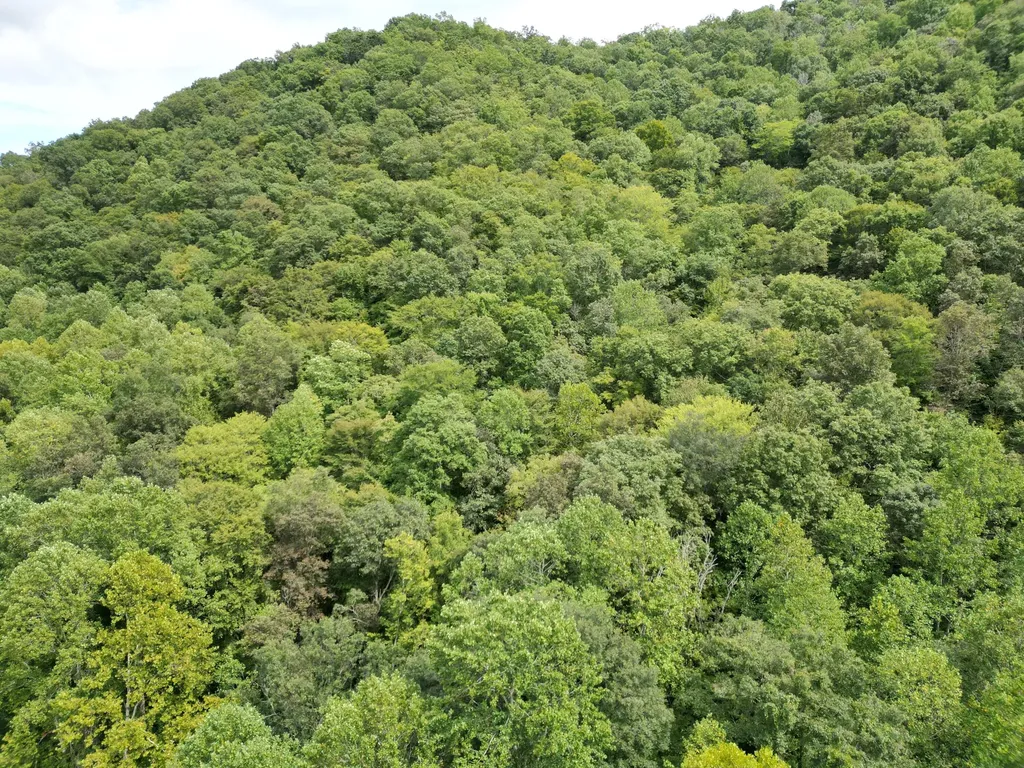 9991 Us-11 Highway Manchester KY 40962