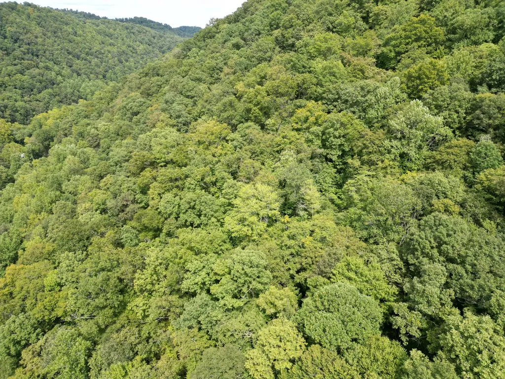 9991 Us-11 Highway Manchester KY 40962