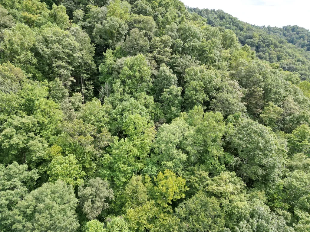 9991 Us-11 Highway Manchester KY 40962