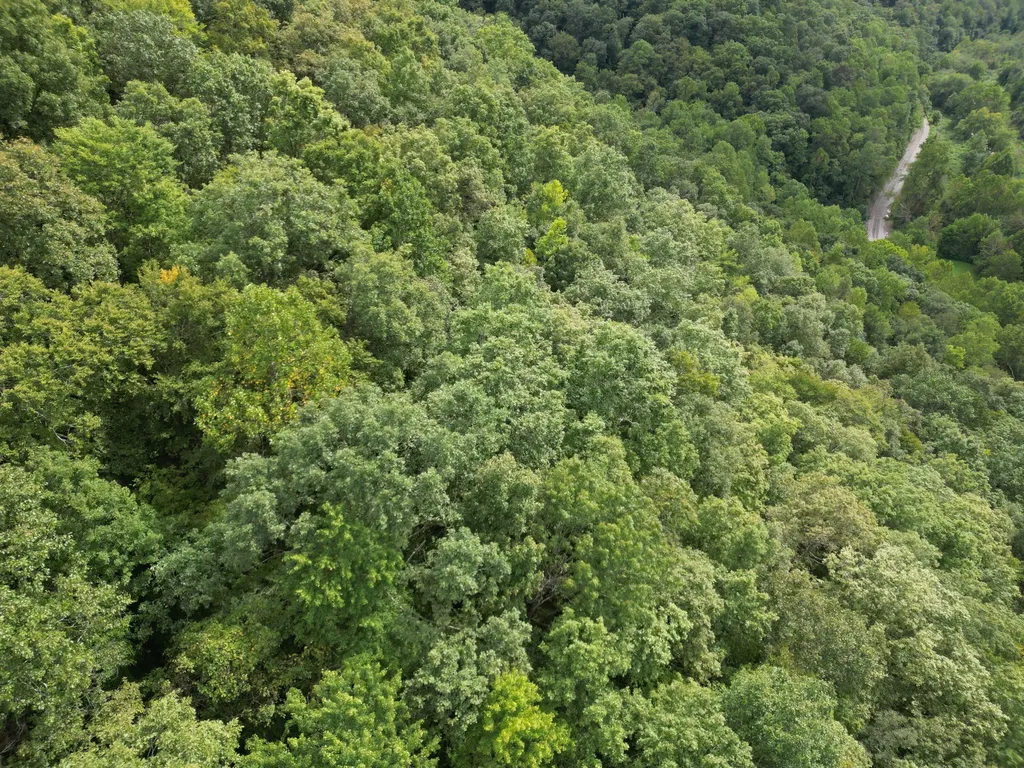 9991 Us-11 Highway Manchester KY 40962