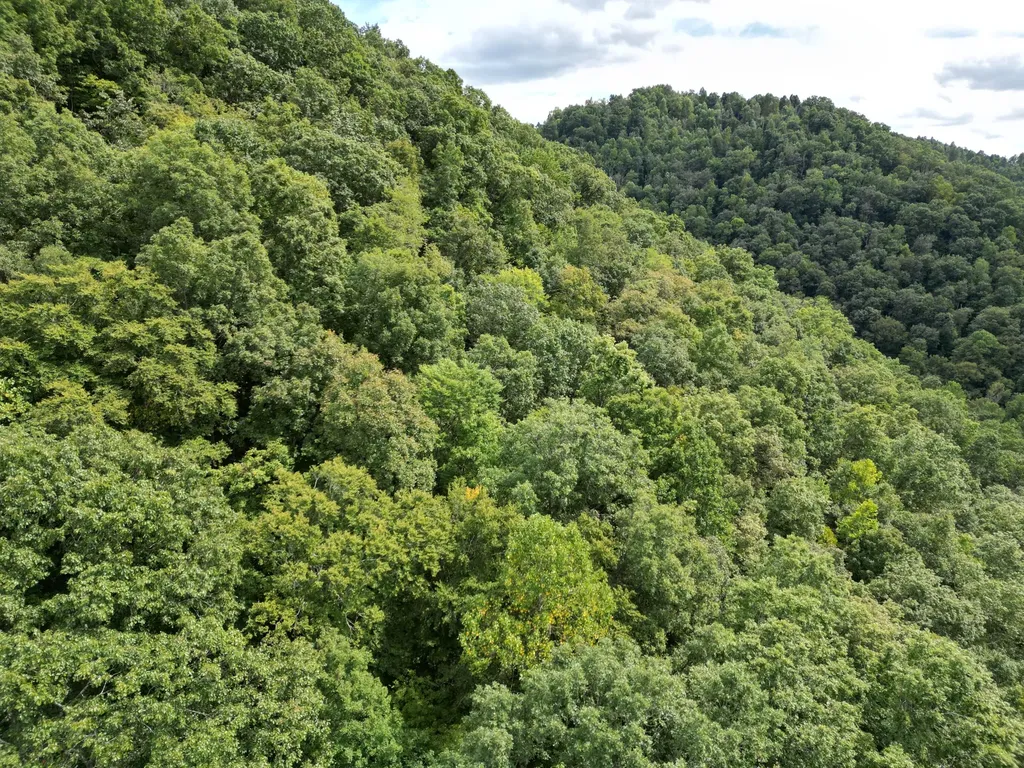 9991 Us-11 Highway Manchester KY 40962