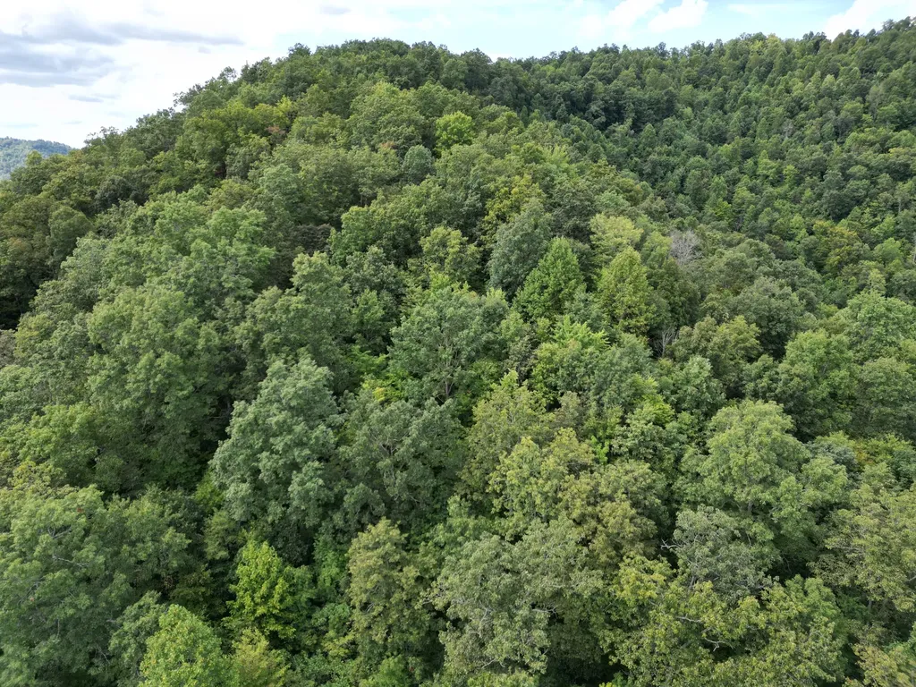 9991 Us-11 Highway Manchester KY 40962