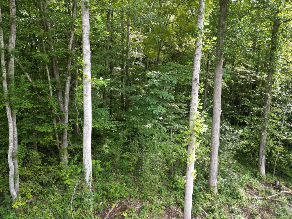 9991 Us-11 Highway Manchester KY 40962