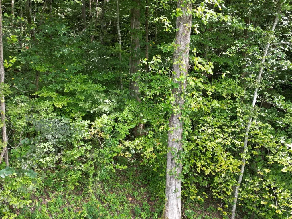 9991 Us-11 Highway Manchester KY 40962