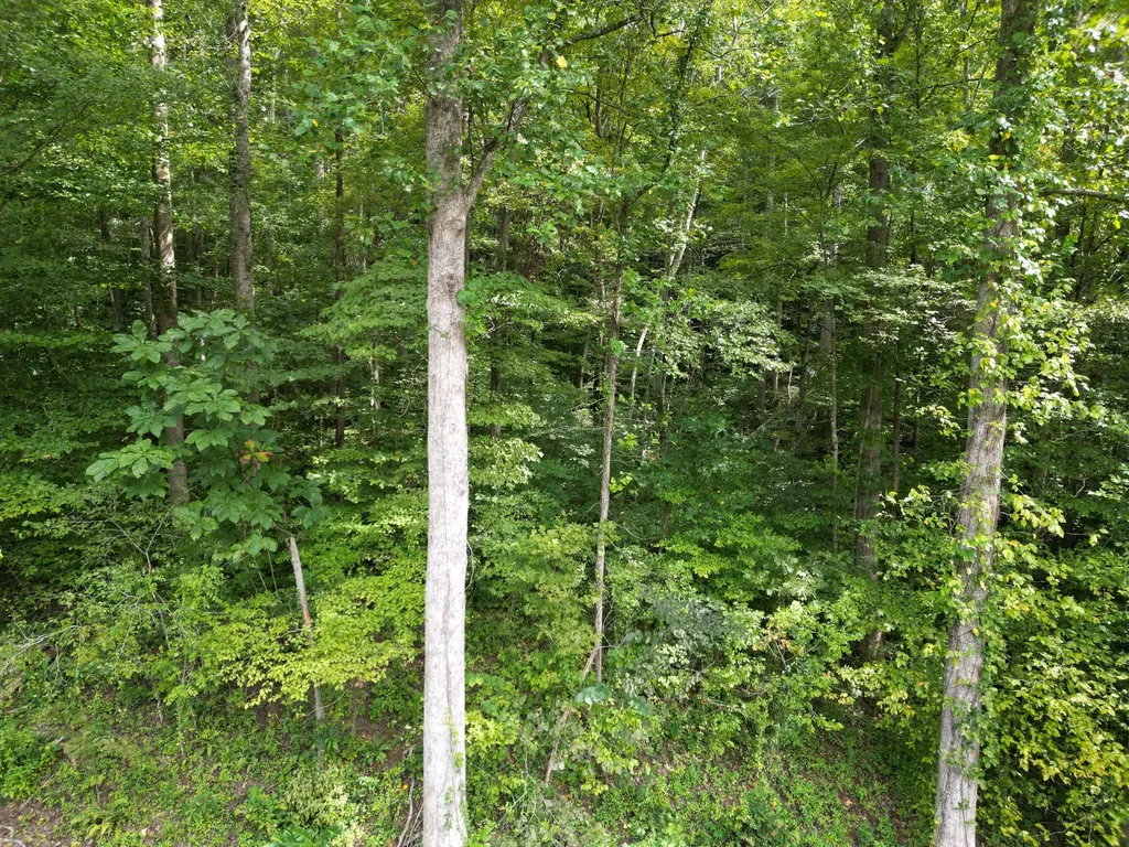 9991 Us-11 Highway Manchester KY 40962