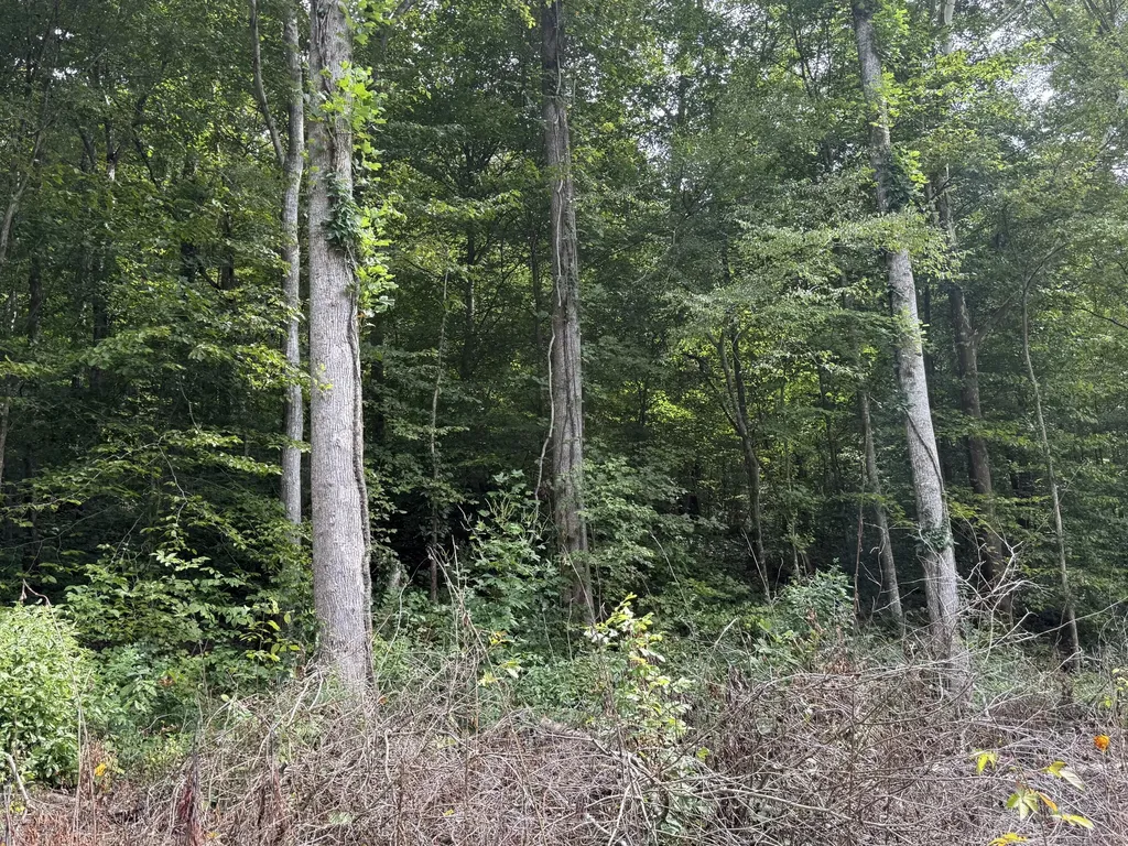 9991 Us-11 Highway Manchester KY 40962