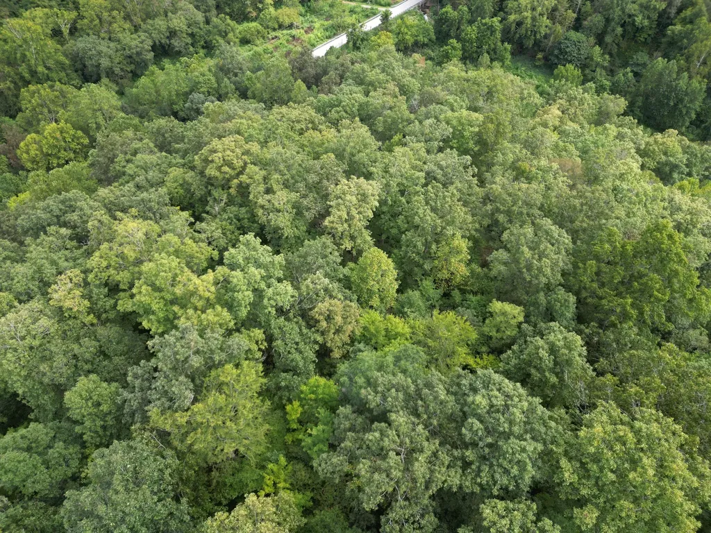 9991 Us-11 Highway Manchester KY 40962