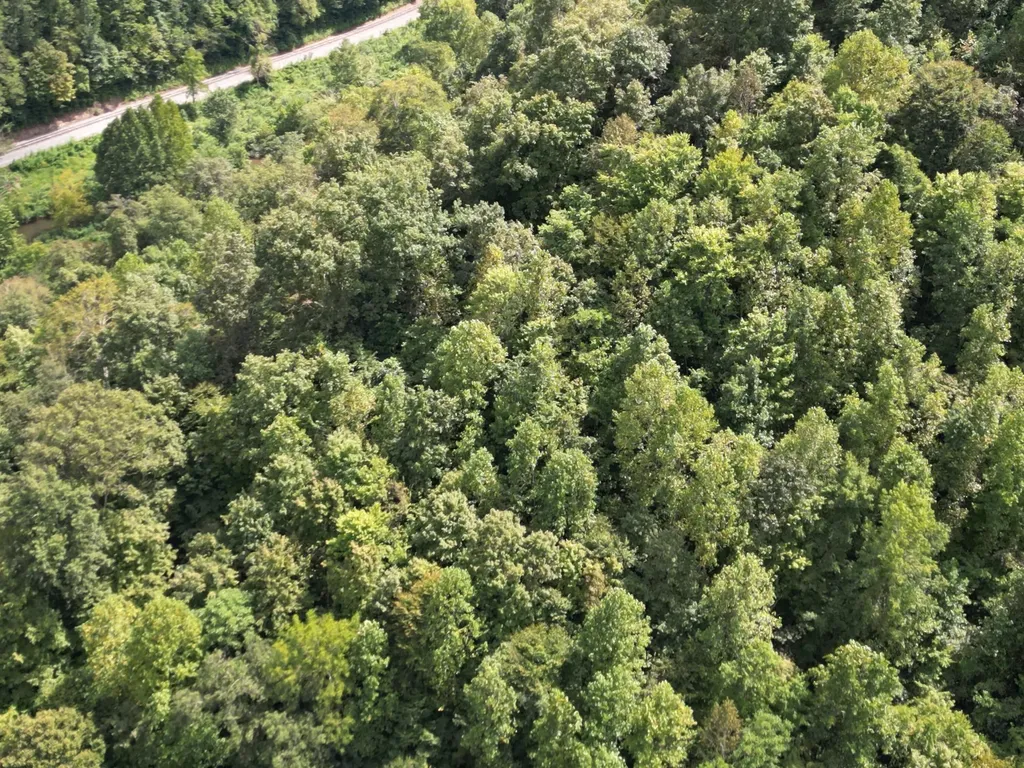 9991 Us-11 Highway Manchester KY 40962