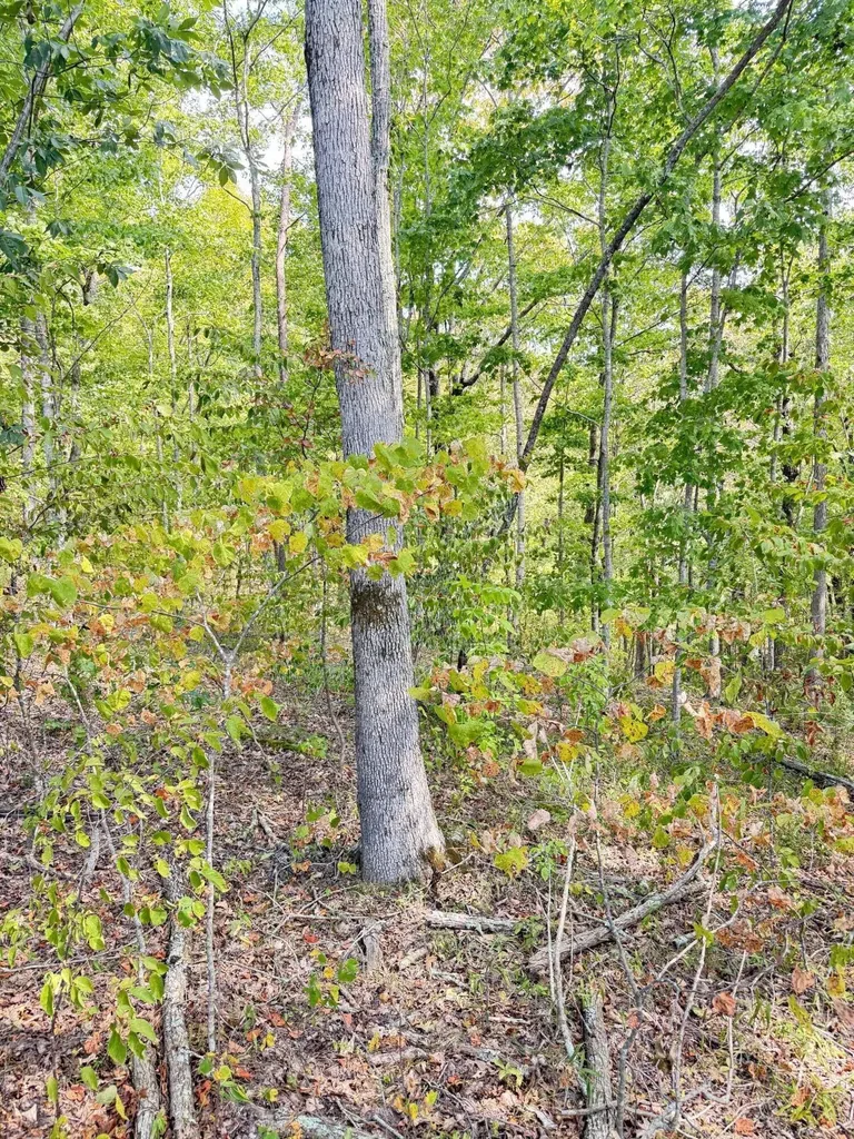 Lot 95 Sandstone Point Monticello KY 42633