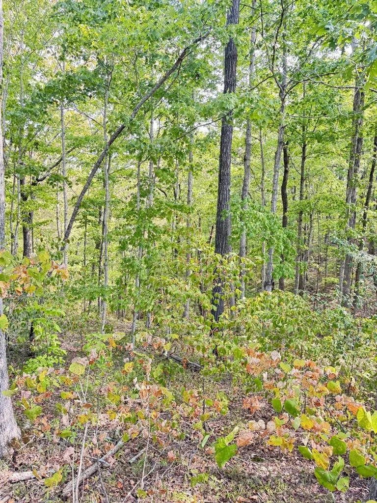 Lot 95 Sandstone Point Monticello KY 42633