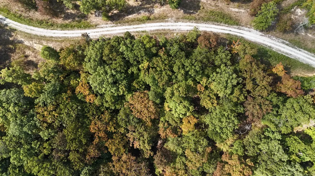 Lot 95 Sandstone Point Monticello KY 42633
