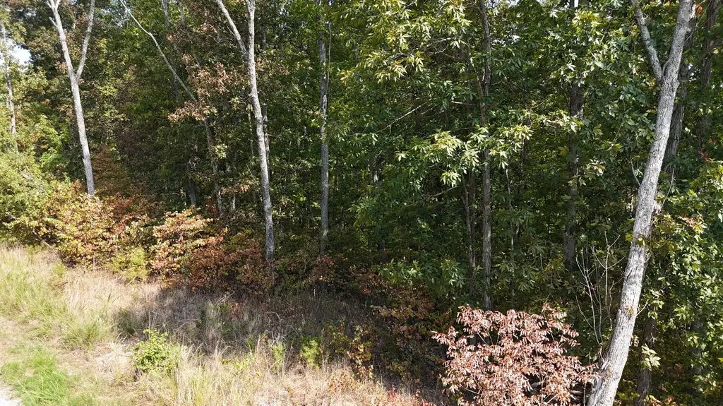 Lot 95 Sandstone Point Monticello KY 42633