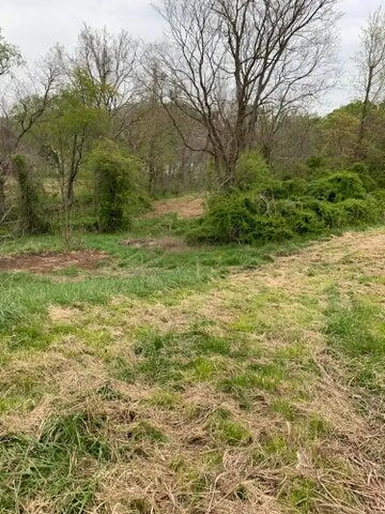 0 Daren Drive Quincy KY 41166