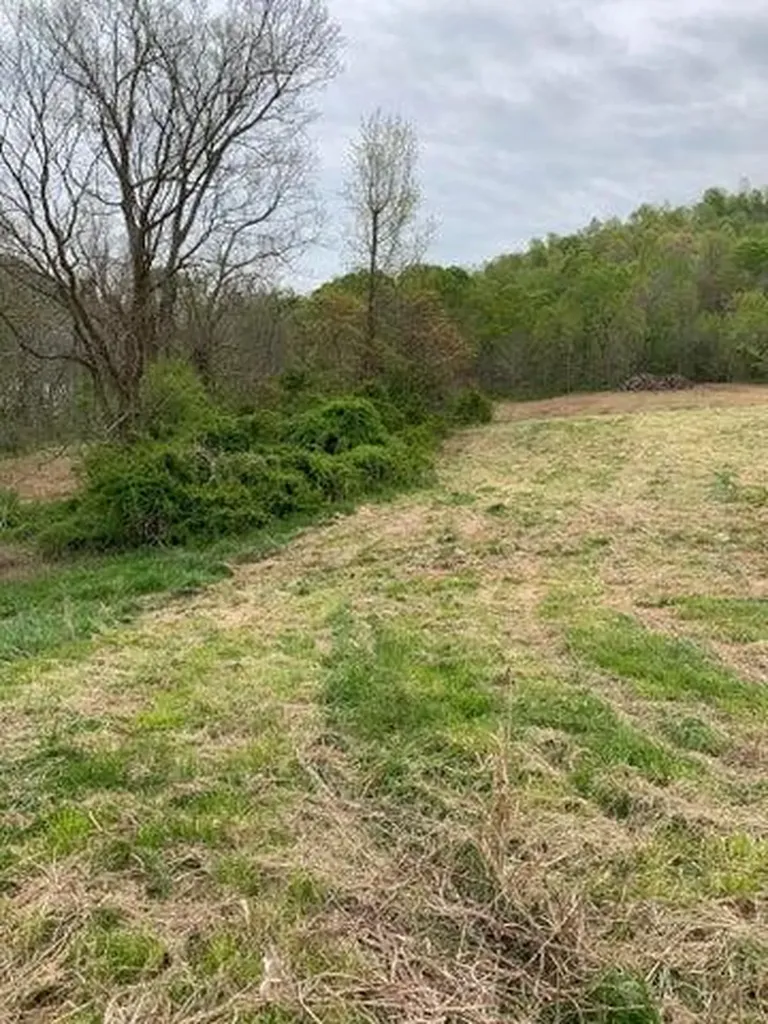 0 Daren Drive Quincy KY 41166