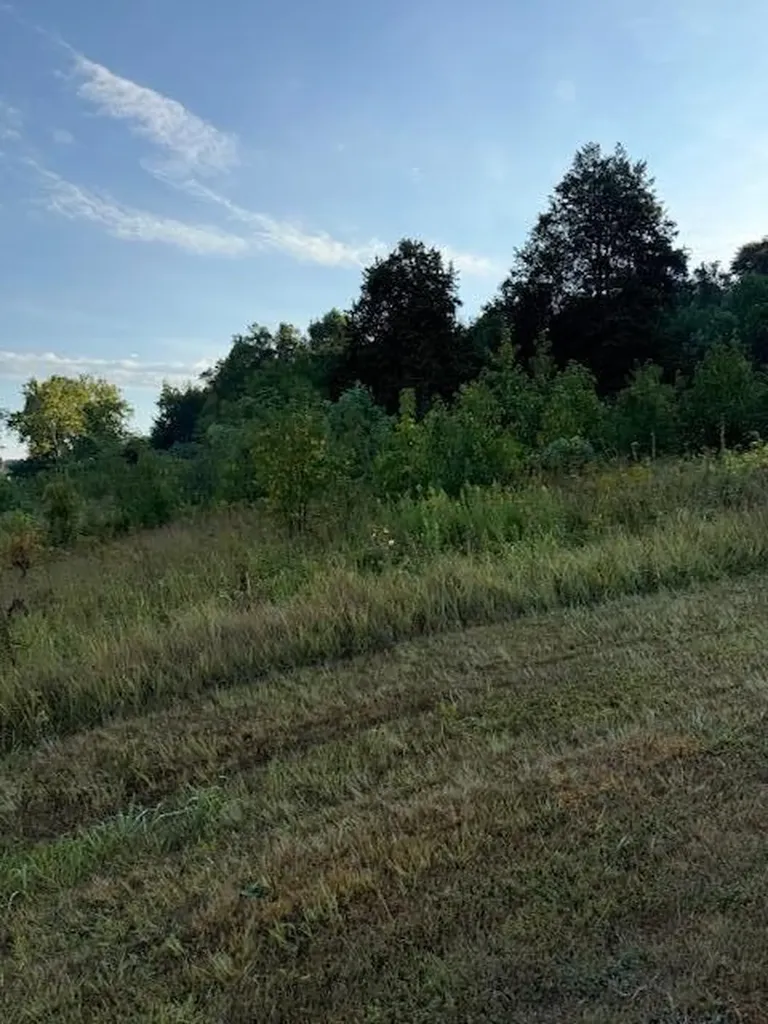 0 Daren Drive Quincy KY 41166