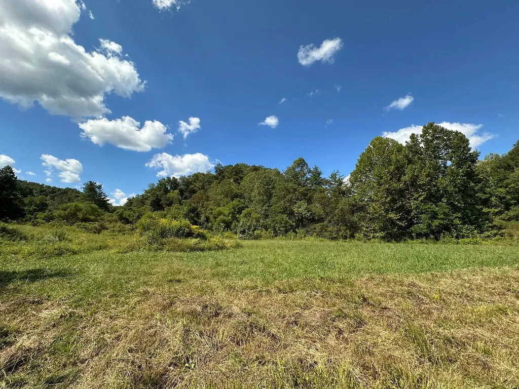18A Hall Road Grayson KY 41143
