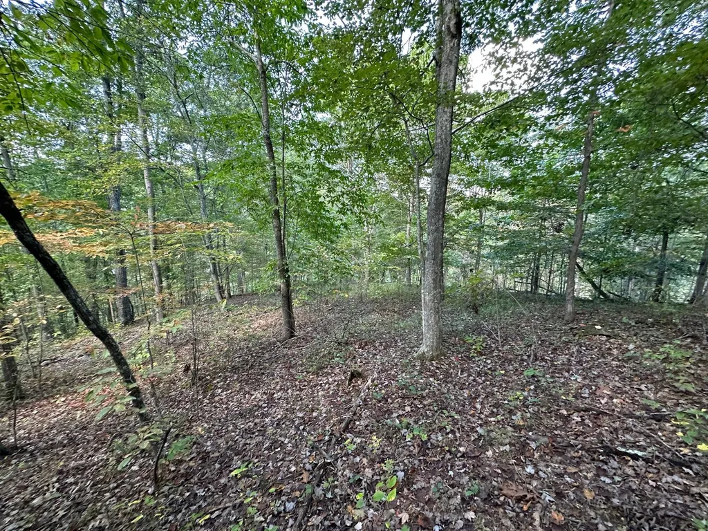 18A Hall Road Grayson KY 41143