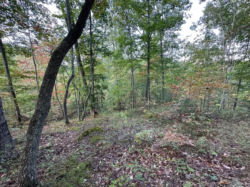 18A Hall Road Grayson KY 41143
