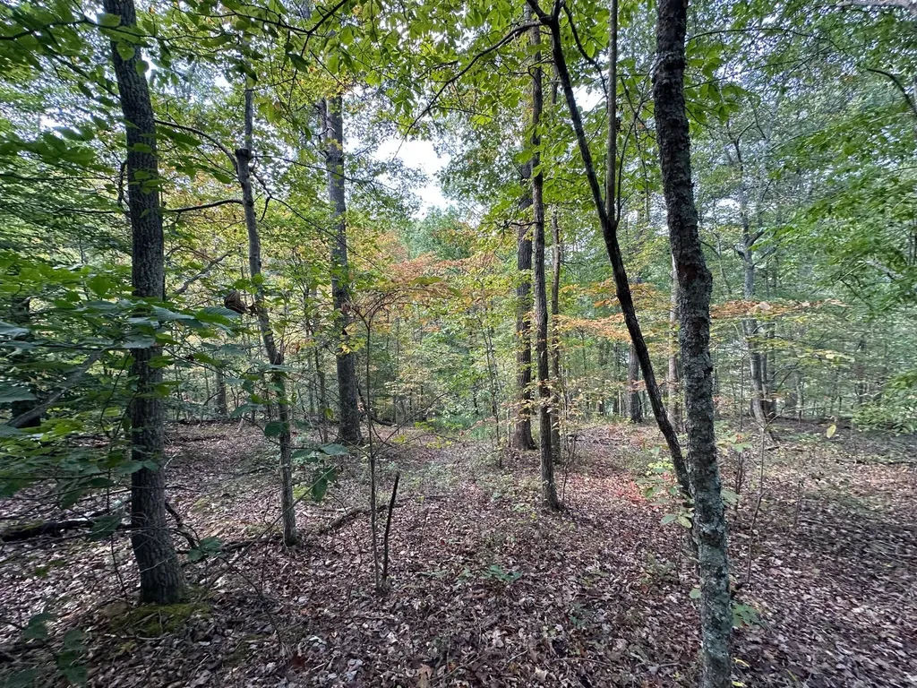 18A Hall Road Grayson KY 41143