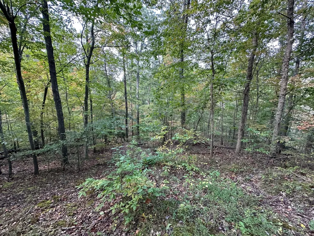 18A Hall Road Grayson KY 41143