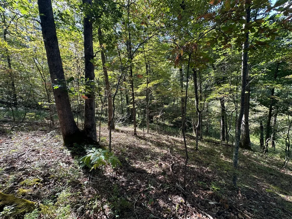 18A Hall Road Grayson KY 41143