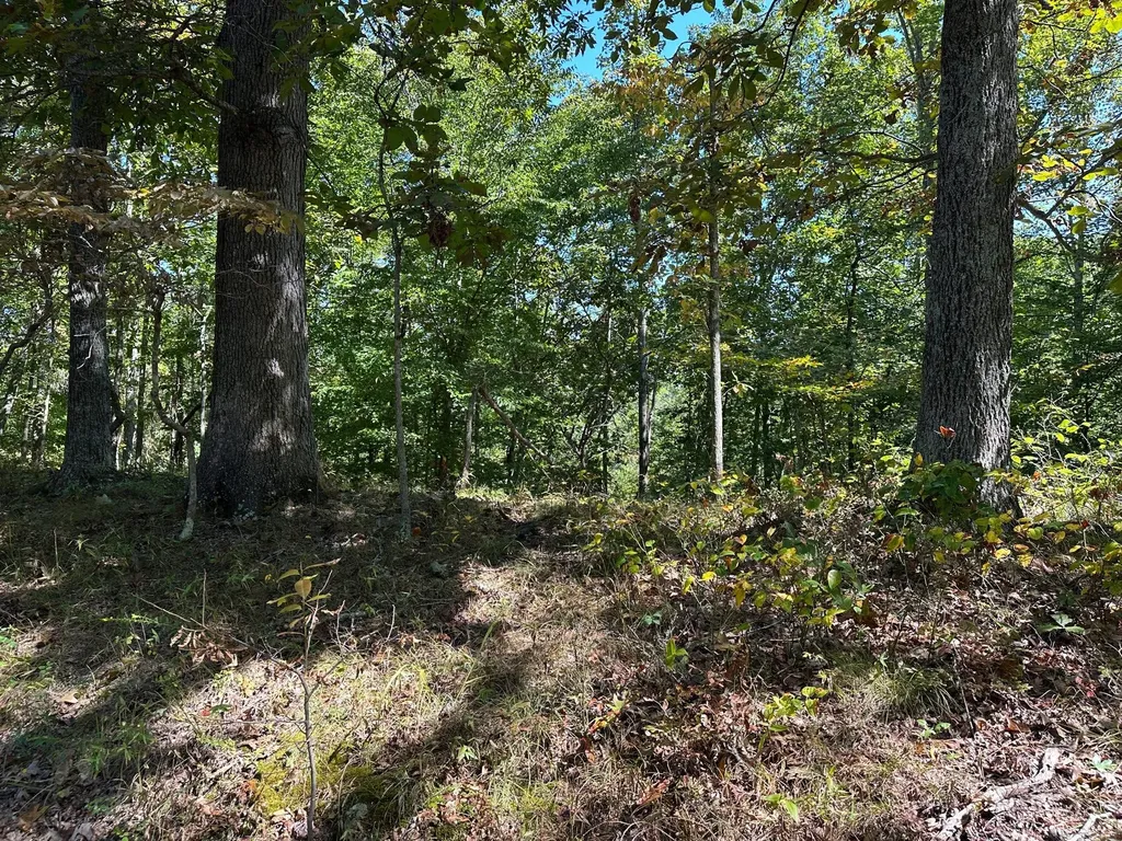 18A Hall Road Grayson KY 41143