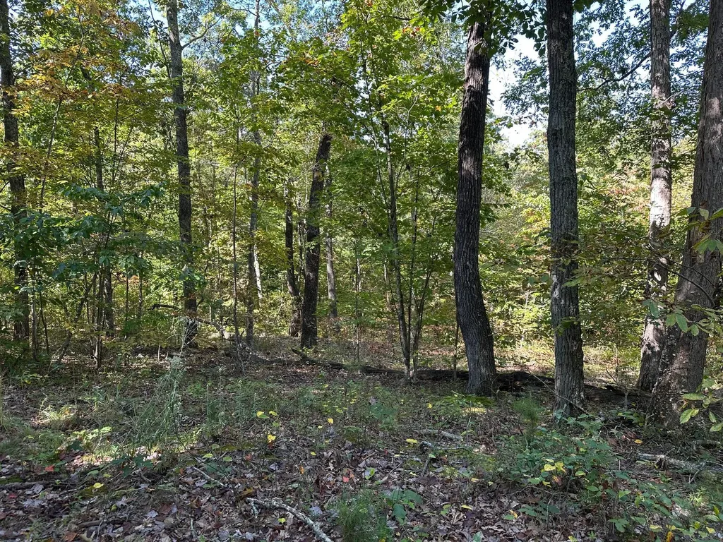 18A Hall Road Grayson KY 41143
